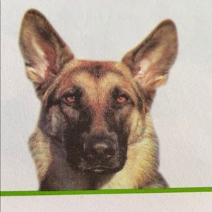 Meet your Posher, Jeffrey